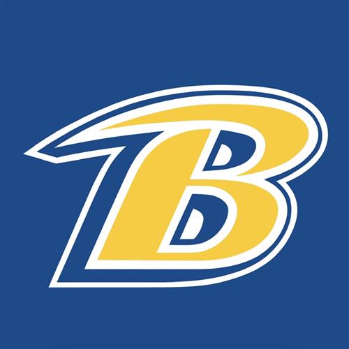 BgHS Logo 